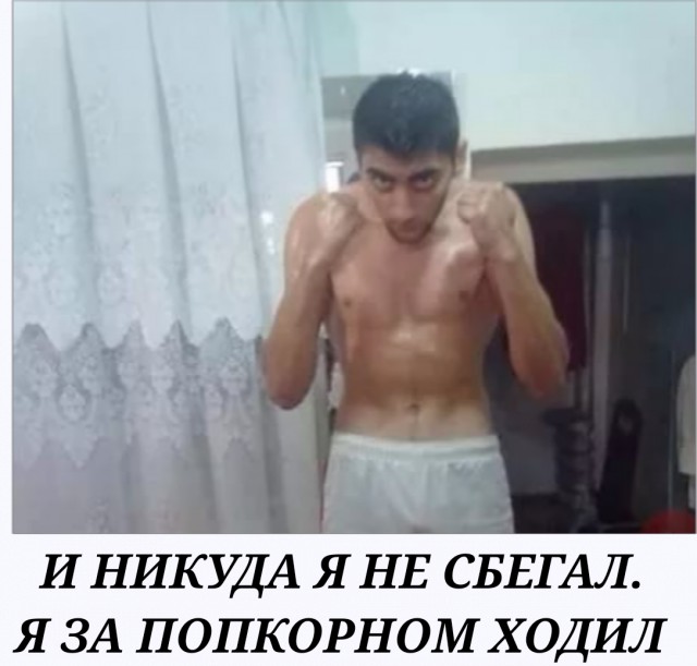 В Краснодаре из цирка сбежала обезьяна
