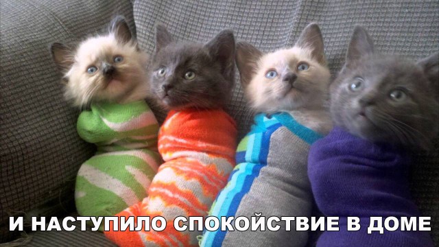 Нестандартный юмор
