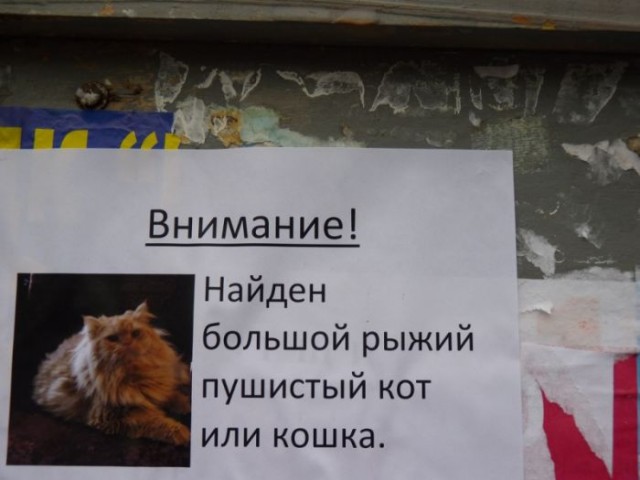 Котовторник 13.12.11 - магическе числа