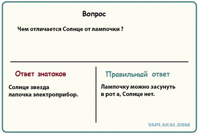 Несложные вопросы, на которые не смогли ответить знатоки в игре «Что? Где? Когда?»