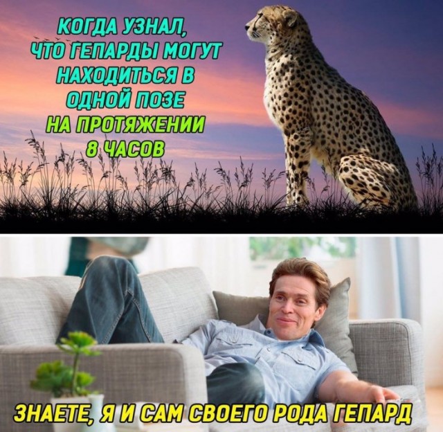 Немного картинок для настроения