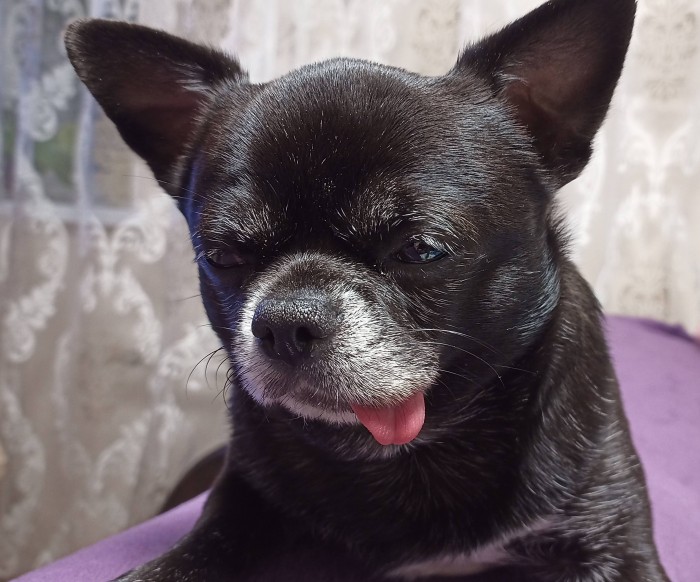 Paзнoвиднocти тьмы