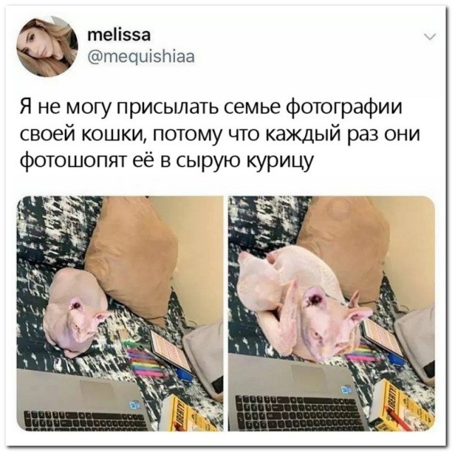 Нестандартный юмор