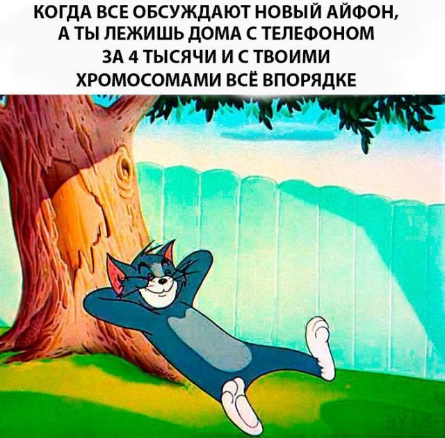Картинки и анекдоты