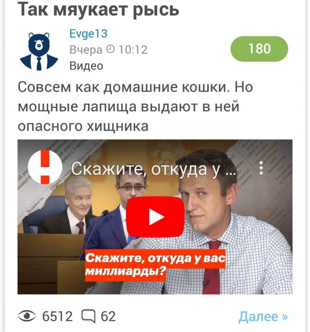 Так мяукает рысь