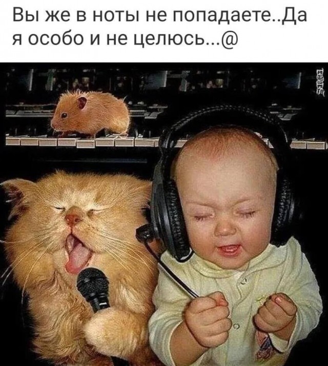 Немного картинок для настроения 77