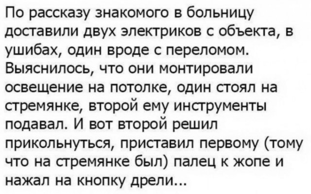 Когда твой хозяин - пАдоног