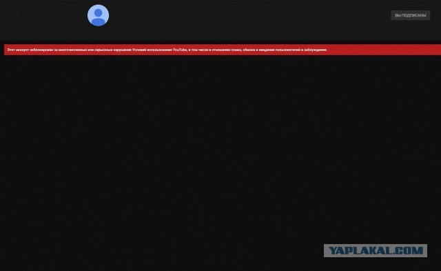 Канал миллионник Игоря Негоды удален с ютуба