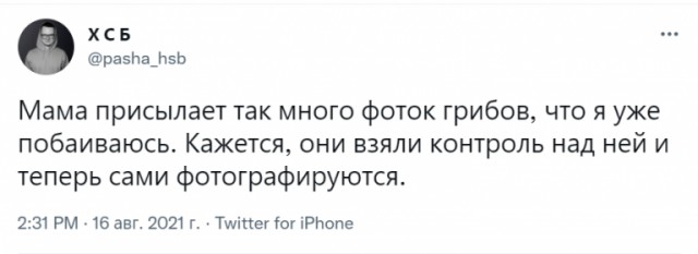 Баянисто-небаянистый юмор 23.08.21