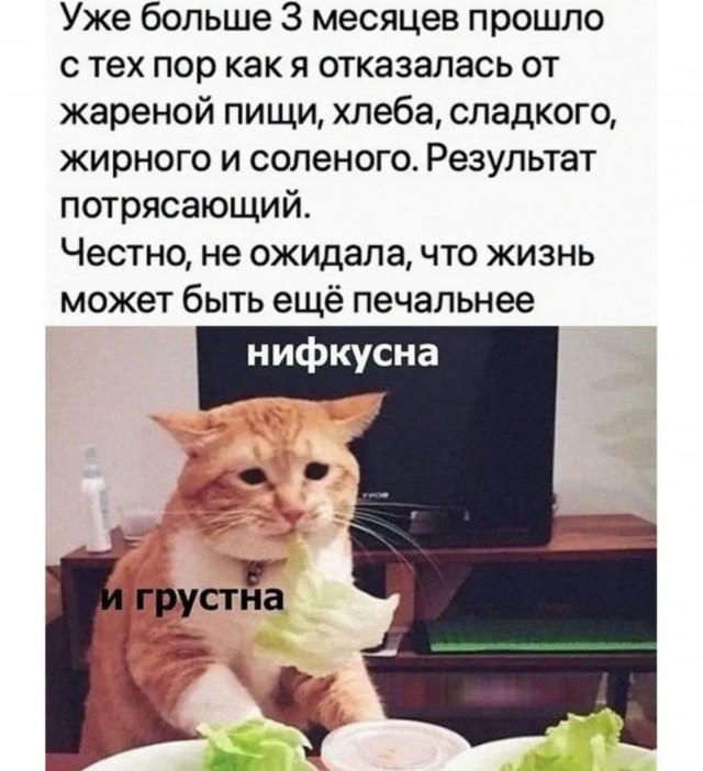 Юмор. Мемы