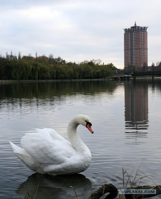 Донецк