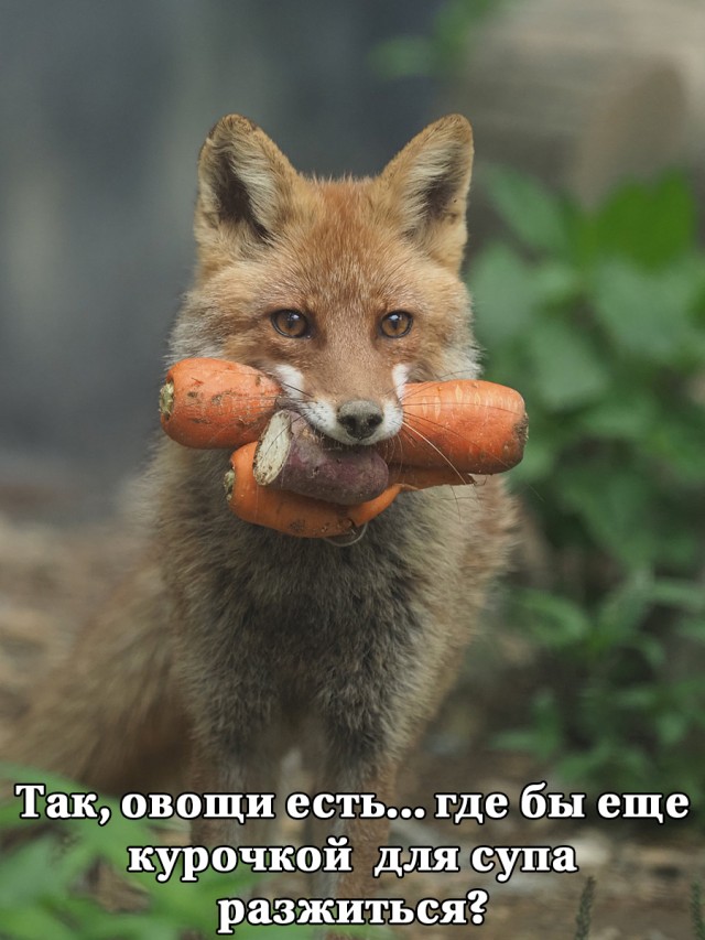 Немного картинок и прочей хреноты Vol. 15