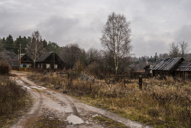 Поздней осенью в деревне