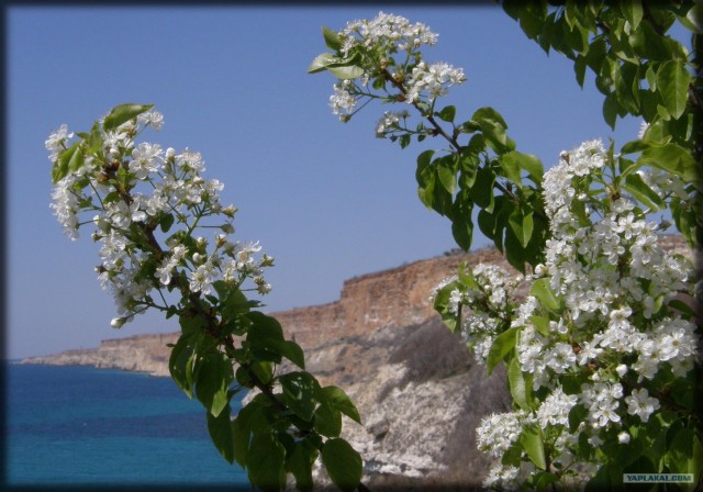 Крым. Фиолент. Маяк.