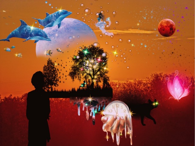 Чуть картинок 27.11.2022