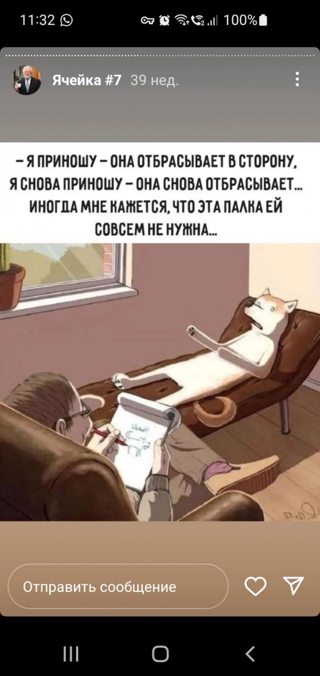 Картинки и мемы для настроения - 133