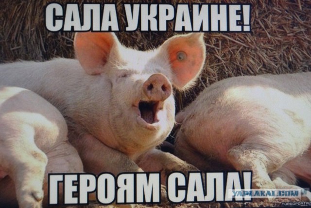 Враги среди нас