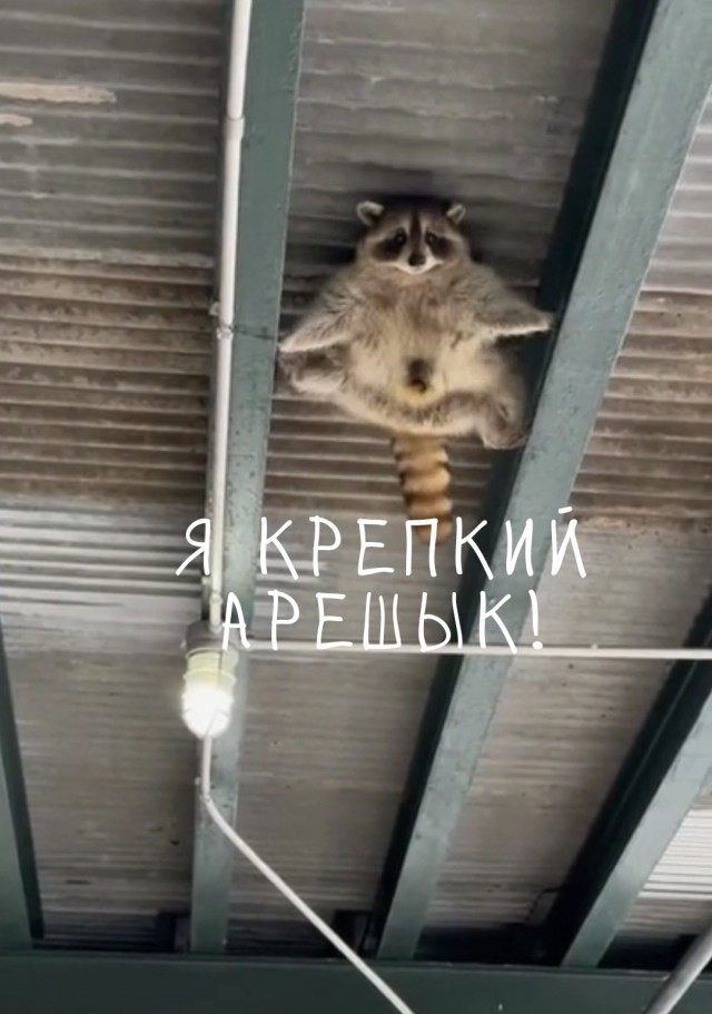 Пол — это лава