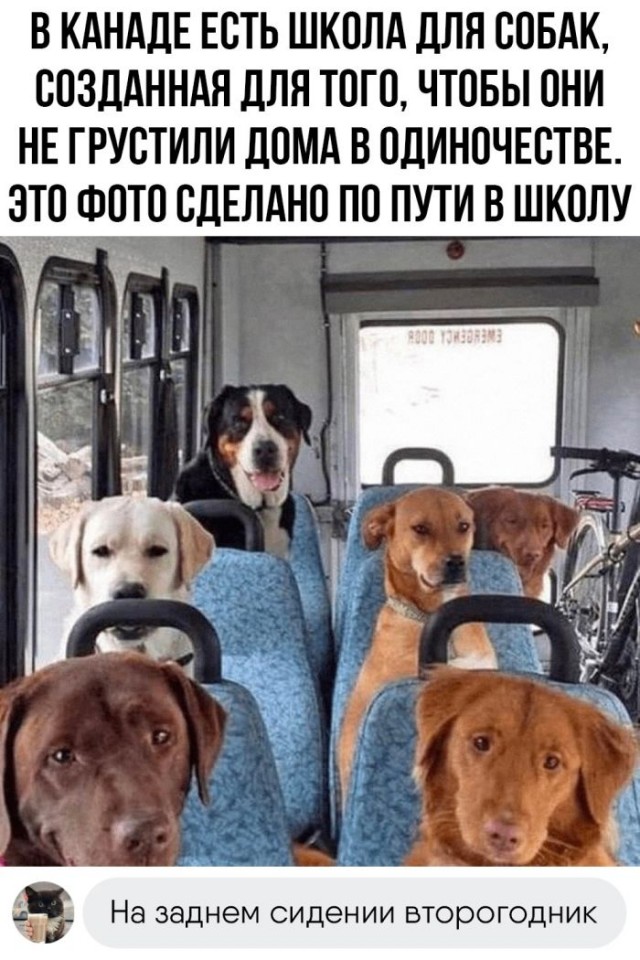 Картинки и мемы для настроения - 181