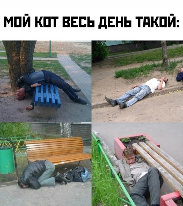 Весёлый полтишок 04.08.23