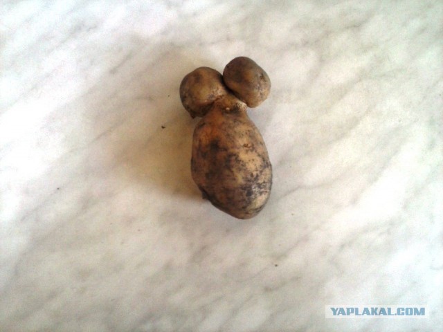 Почистил телефон