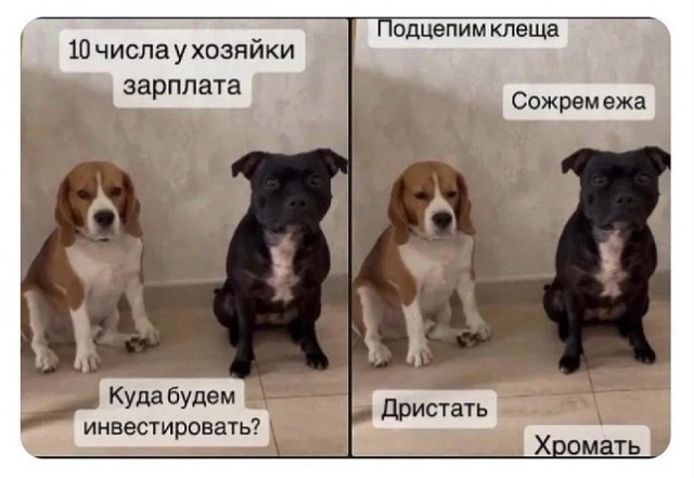 Новый президент Аргентины