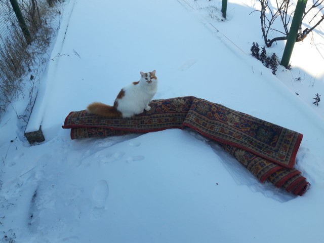 Чистка базуки