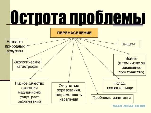 Заводить детей пораньше россиянам мешают низкие доходы