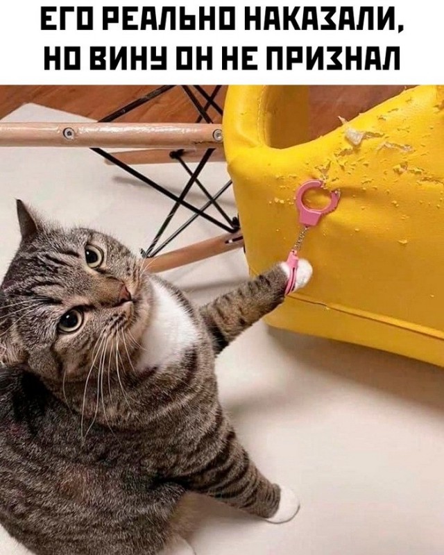 Доставка баянов