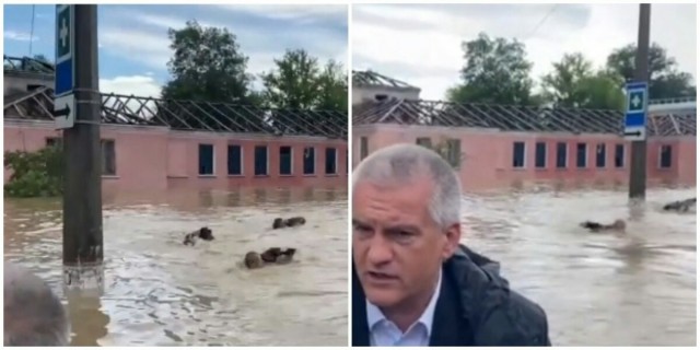 Спасатели и спасаемые