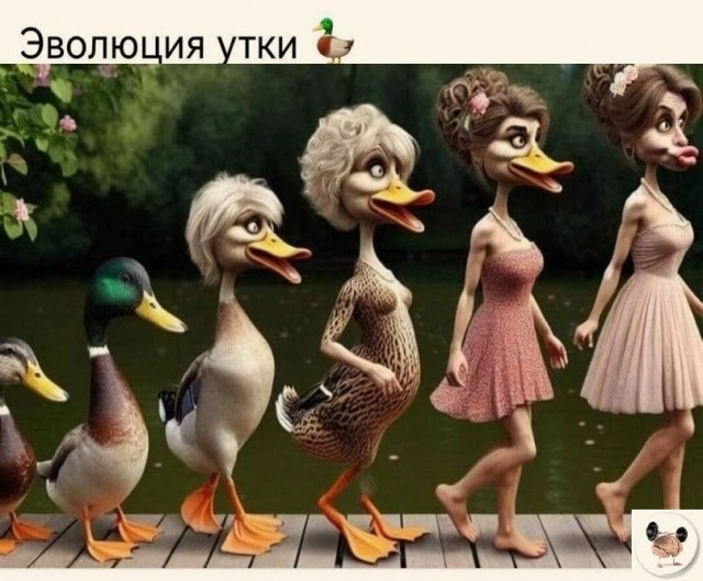 Так себе картинки 21.05.24