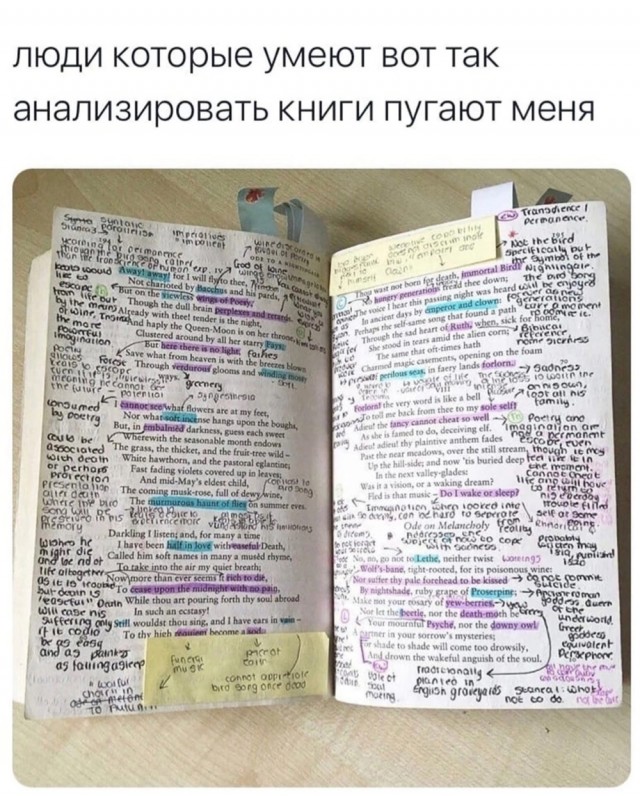 Весёлый полтишок 22.07 24