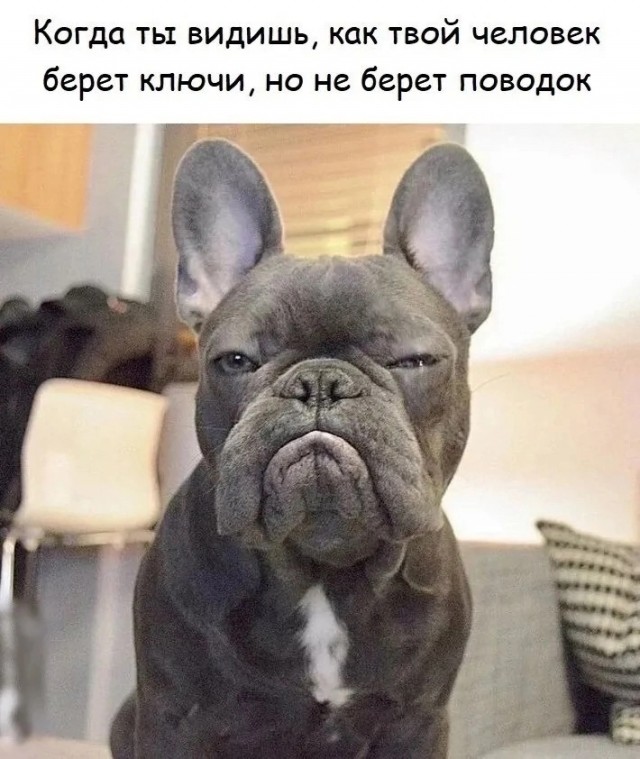 Так себе картинки 22.10.24