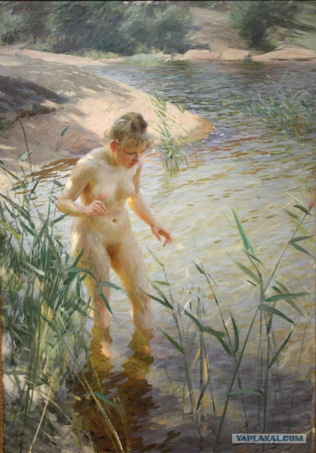 «На природе» Худ. Андерс Цорн. 1888 г.