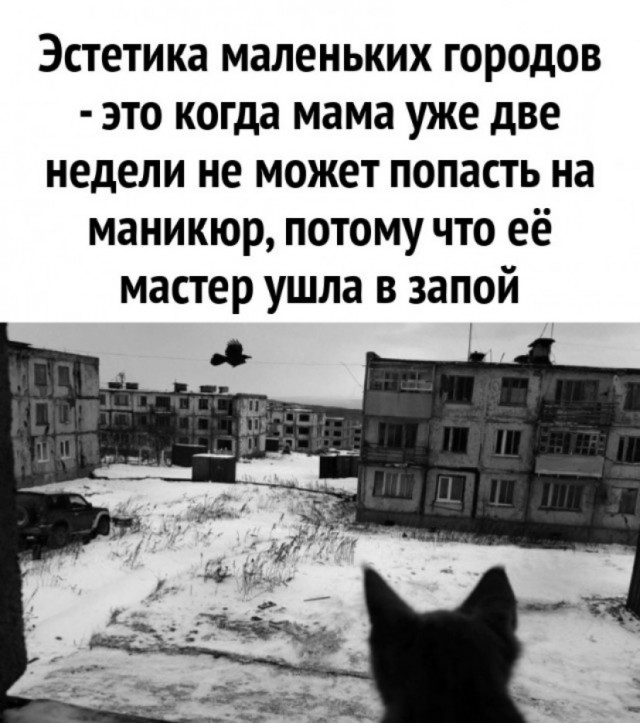 Баяны: апрель 2023 г - июль 2023 г