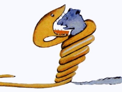 Спасение кота от удава