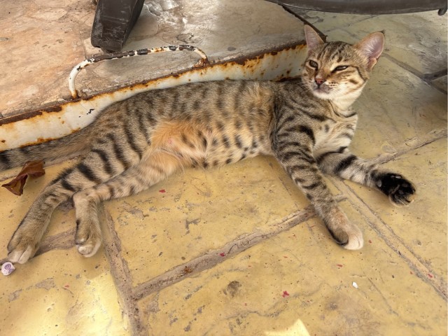 Косоглазый Смайлик