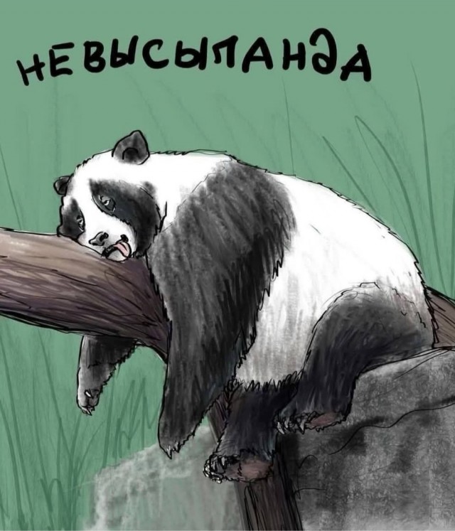 Так себе картинки 06.07.25