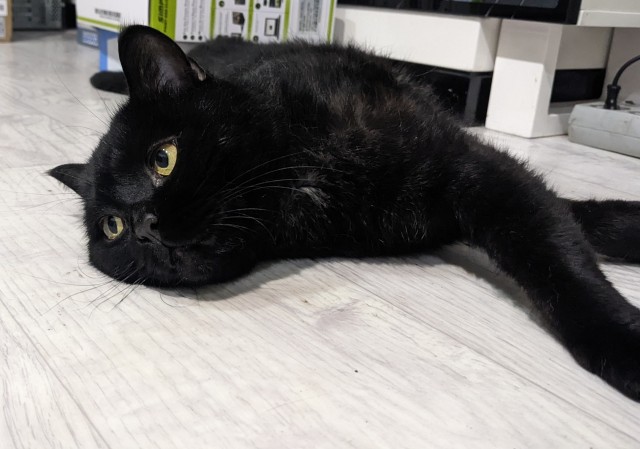 Его первый вторник