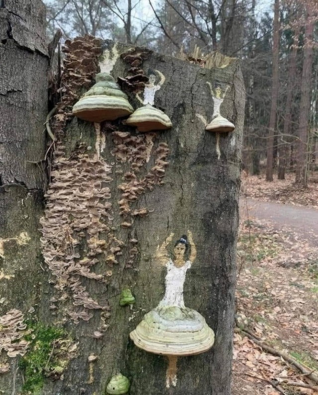 Пятничные картинки