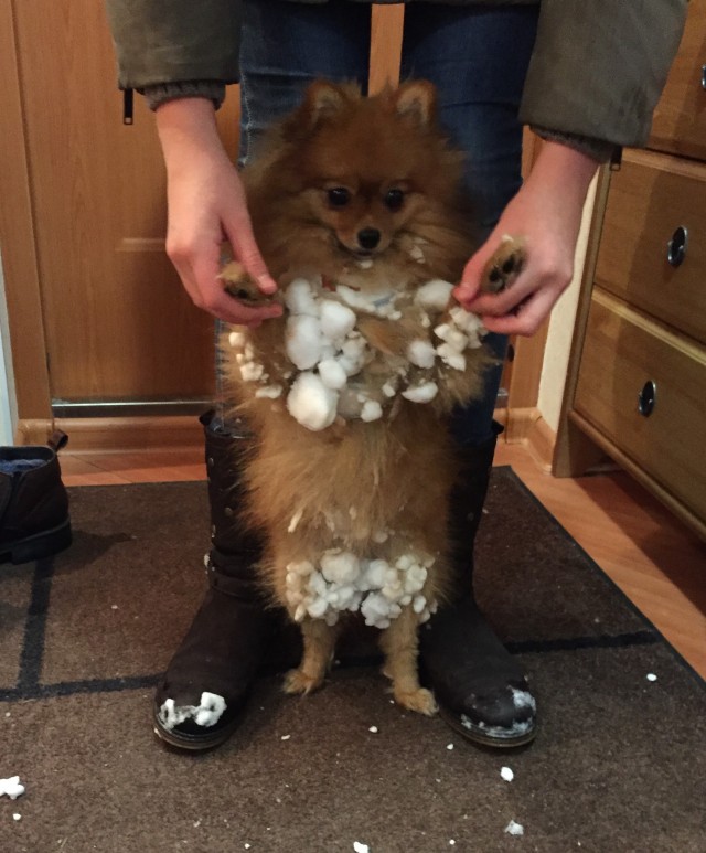 Погуляли по снегу