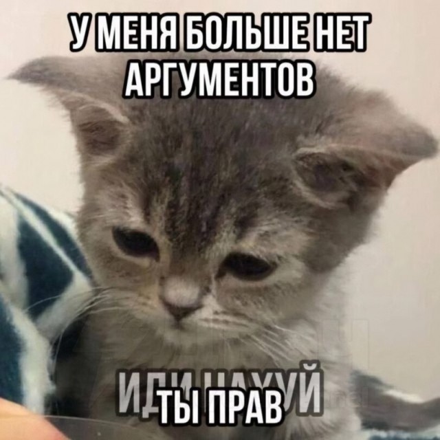 Картинки для деградации 133 (разной степени свежести)