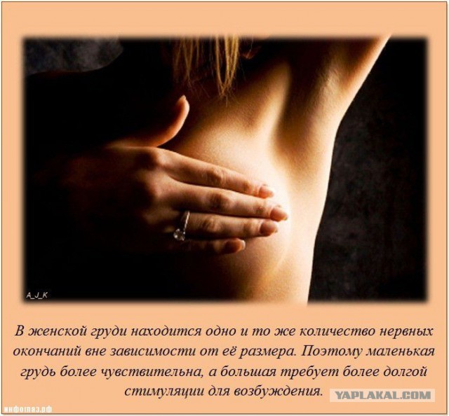 С такой грудью ей будет сложно заметить бумажку )
