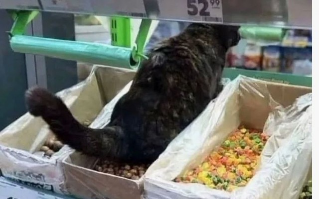Шерстяной круасанчик