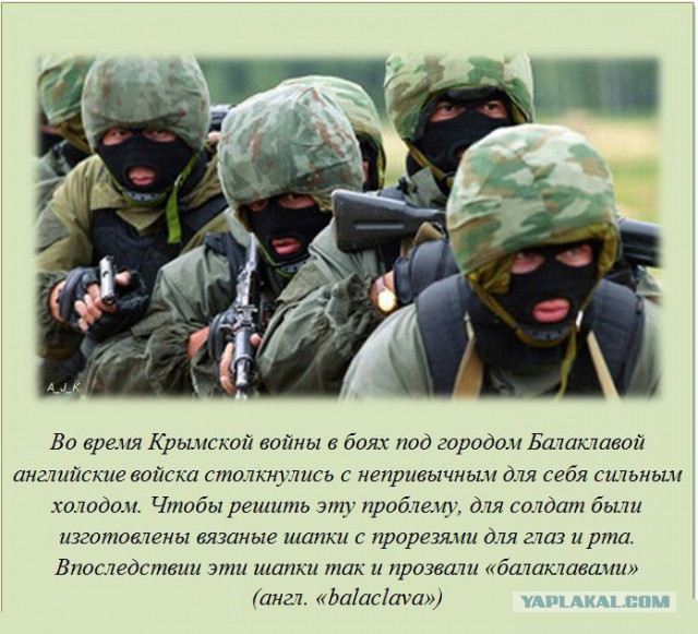 20 фактов обо всем