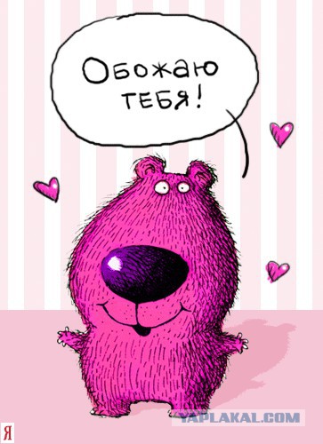 Даёшь Квоккавоскресенье!