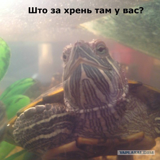 Мужайтесь..