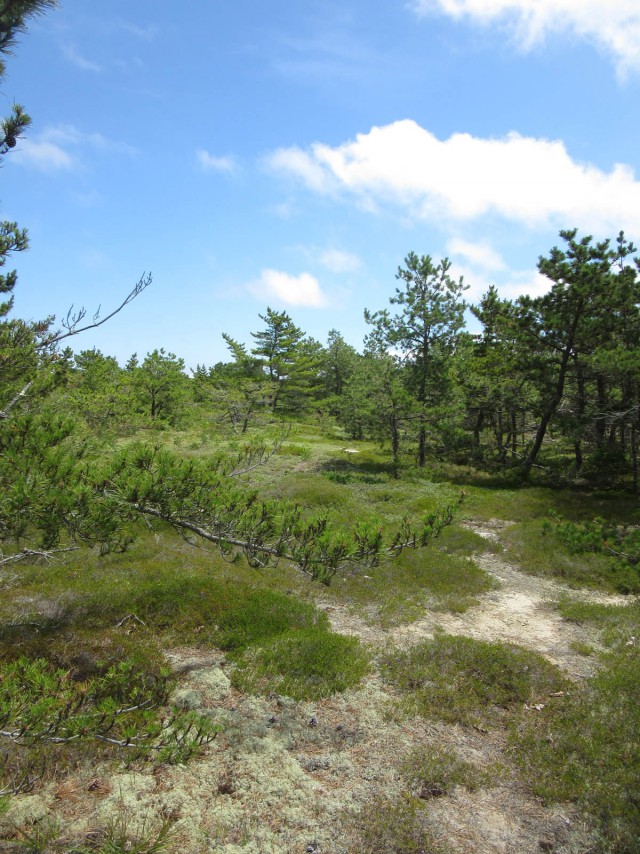 Деревенская Америка