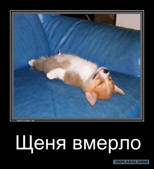 Новый "памятник" у здания СБУ в Киеве