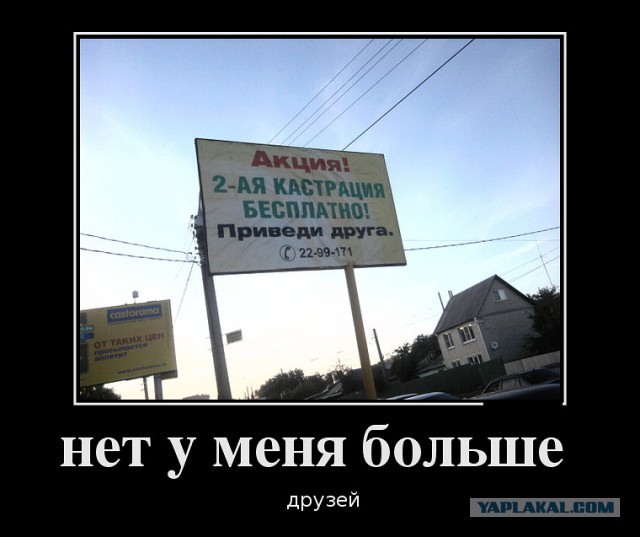 Весёлые картинки